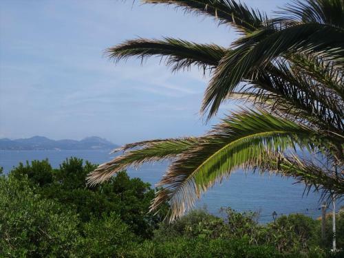 Villa Carpe Diem