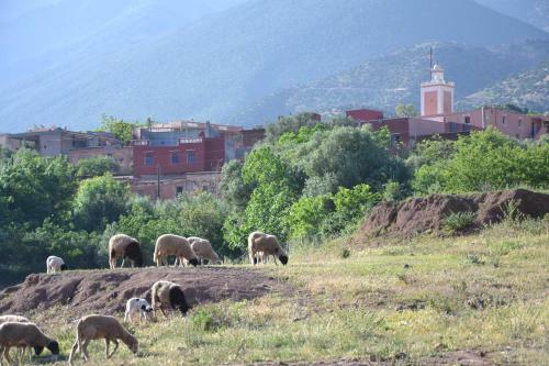 Hostal Dar Amethyste