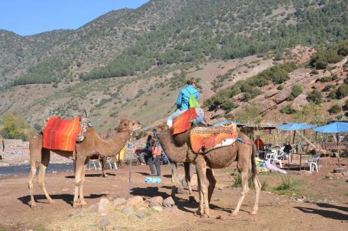 Hostal Dar Amethyste