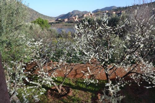 Hostal Dar Amethyste