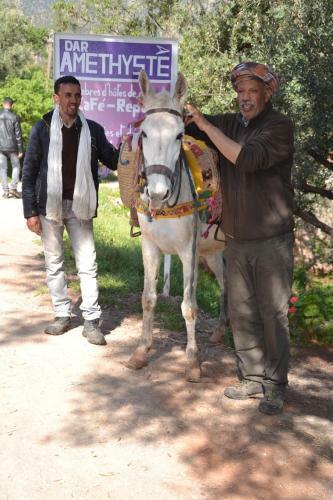 Hostal Dar Amethyste