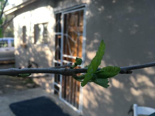 Apartamento The Cosy Corner