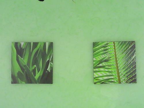 Bed & Breakfast La Maison Du Lac