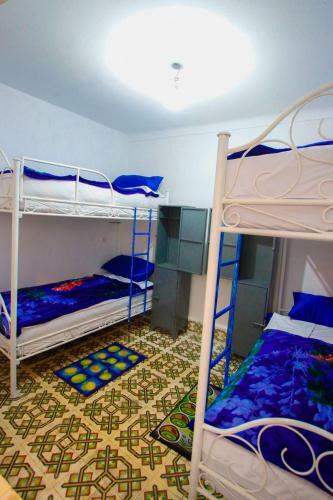 Albergue White And Blue