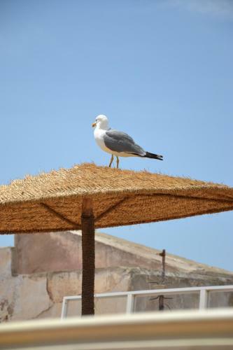 Hostal Hotel Riad Ben Atar