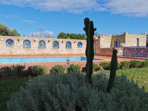 Bed & Breakfast Dar Yanis