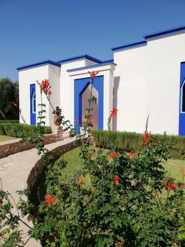 Bed & Breakfast Dar Yanis