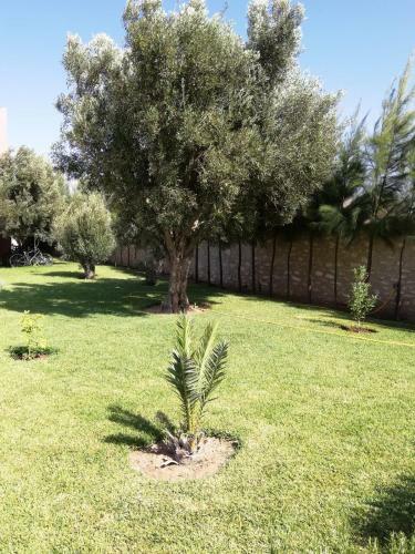 Bed & Breakfast Dar Yanis