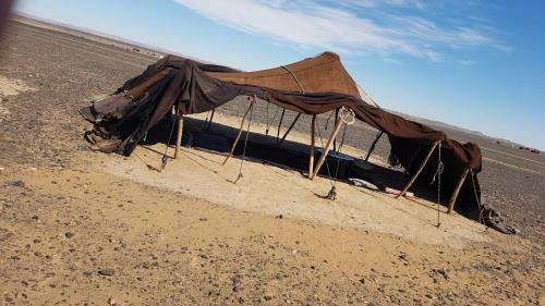 Luxury Camp