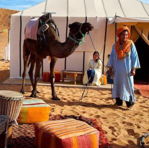 Safari Rose Luxury Camp