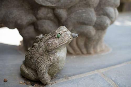 Apartamento Frogs Bottom Retreat Faversham & Canterbury, Kent