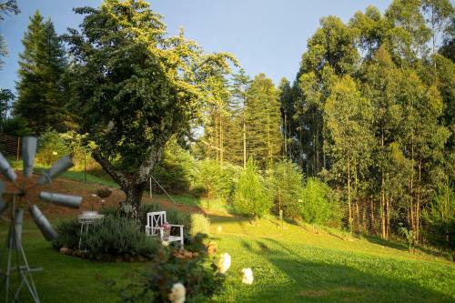 Miracle Mountain Cottage