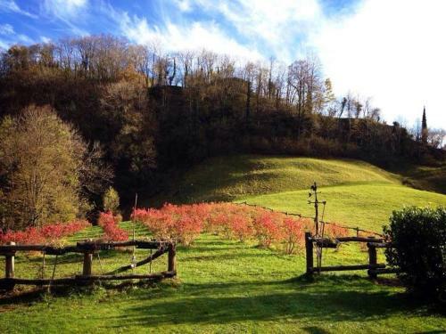 Bed And Breakfast Il Mirtillo