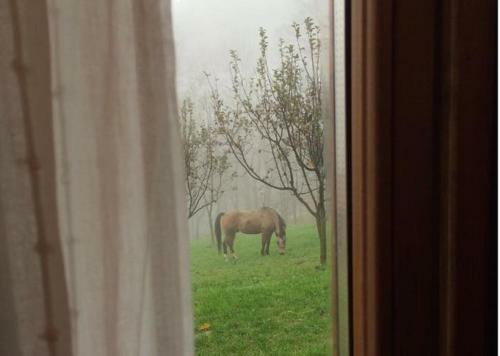 Bed And Breakfast Il Mirtillo