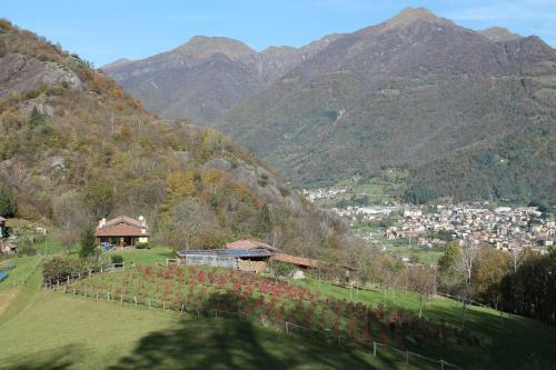 Bed And Breakfast Il Mirtillo