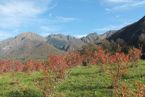 Bed And Breakfast Il Mirtillo