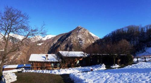Bed And Breakfast Il Mirtillo