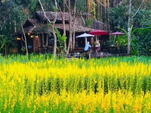 Hotel Fern Resort Mae Hong Son