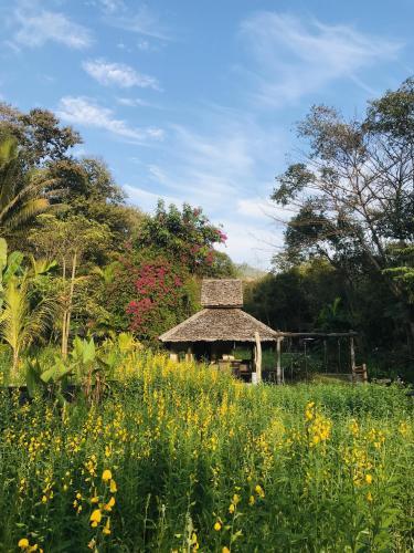 Hotel Fern Resort Mae Hong Son