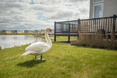 New Haven Lakeside Lodge, Nr Cartmel Racecourse