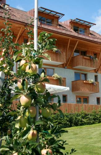 Hotel Ploseblick