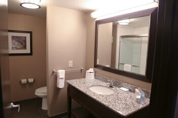 Hotel Hampton Inn Lewiston-auburn