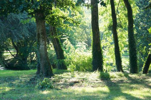 Bed & Breakfast Ch�teau De La Chaise