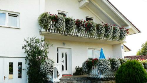 Hostal The White House