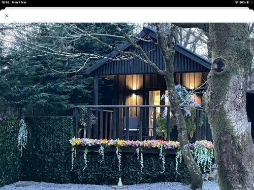 Bluebell Lodge