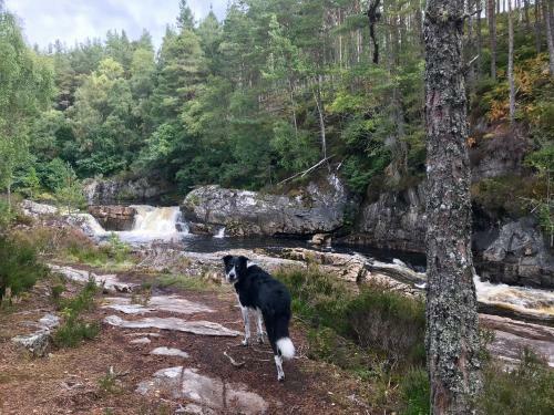 Rosemount Bothy - Highland Cottage