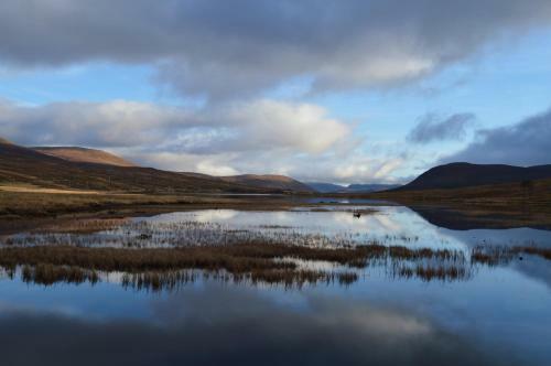 Rosemount Bothy - Highland Cottage