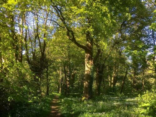 Orchard Cottage - Uk12525