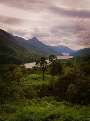 Apartamento Glenfinnan Retreats, Ash Cabin
