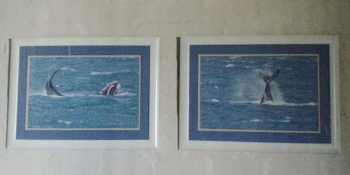 16 Mare Nostrum, "sweet Sixteen"