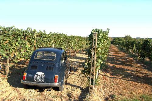 Agroturismo Agriturismo Colombarino