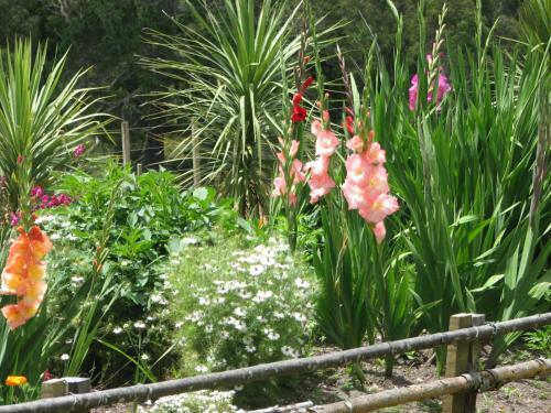 Petite Provence B&B