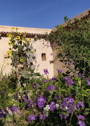 Hotel La Maison Anglaise Garden Ecolodge