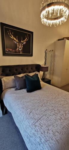 Executive 2 Bedroom Apartment Prime West End Location For Cop 26
