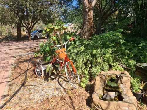 Kruger Gateway @ 502