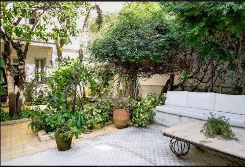 Riad Slama