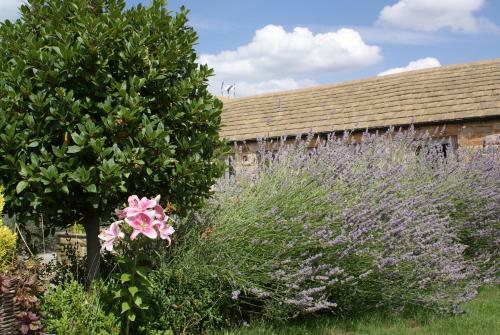 Harrogate Barns