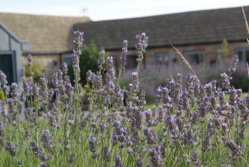 Harrogate Barns
