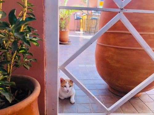 Bed & Breakfast Riad Dihya