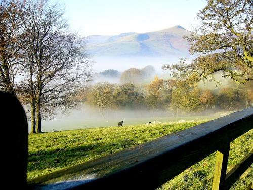 Birch Cottage