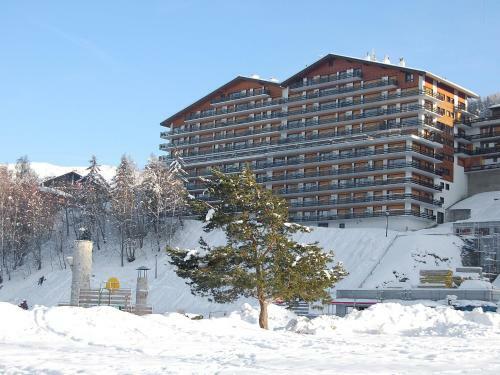 Apartment Christiania XIV Nendaz Station
