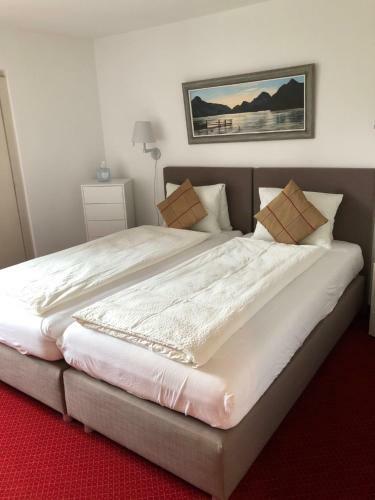 Hostal Hotel Adler Garni