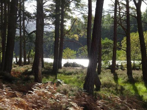 Islay Cottage, Meadowside, Kincraig, Near Kingussie