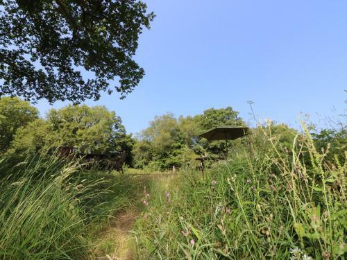 The Cider Barn