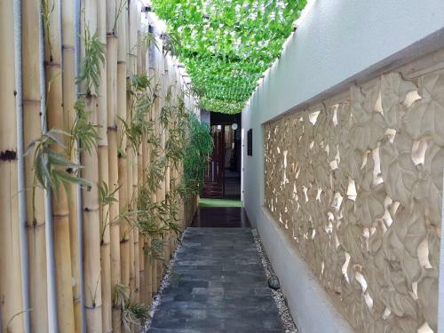 Hostal Narisha Guesthouse