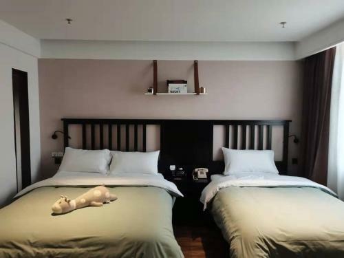 Hotel ?????????????????